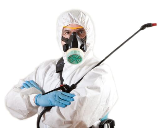 disinfection worker
