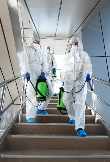 Disinfection workers in protective suits making disinfection of stairs